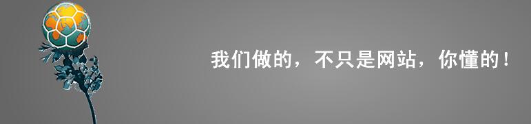 我們做的不只是網(wǎng)站，你懂得